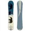 Dinosaurs Will Die Mens Bilbored Snowboard-151 -Lib Tech Shop large DIN31M006